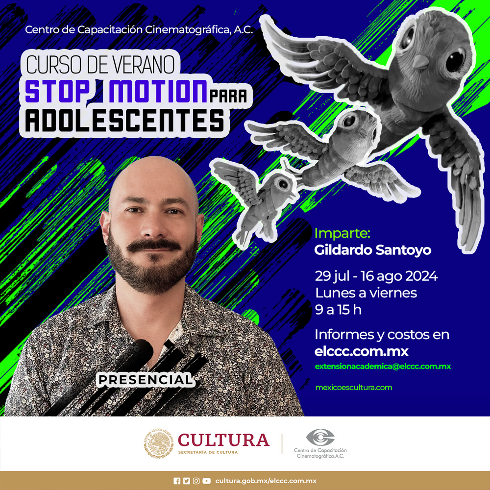 C STOP MOTION 2024 PLECA CULTURA