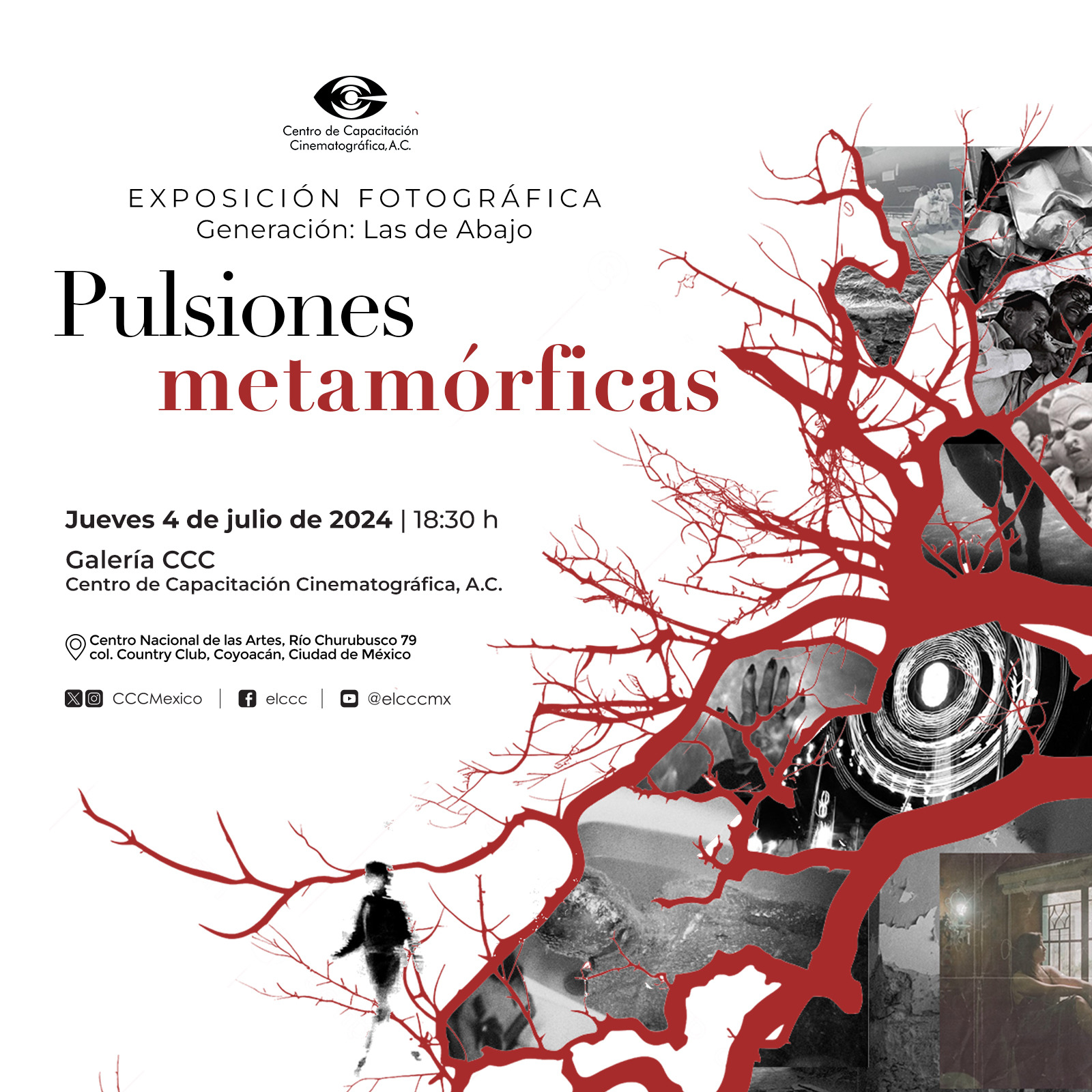 Expo PUlsiones metaforicas