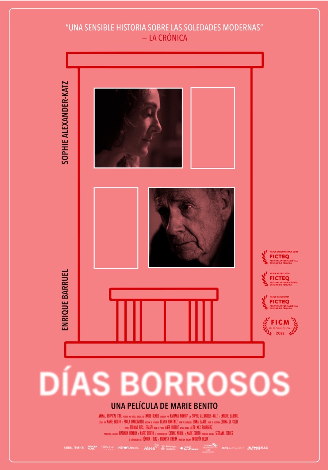 dias borrosos poster