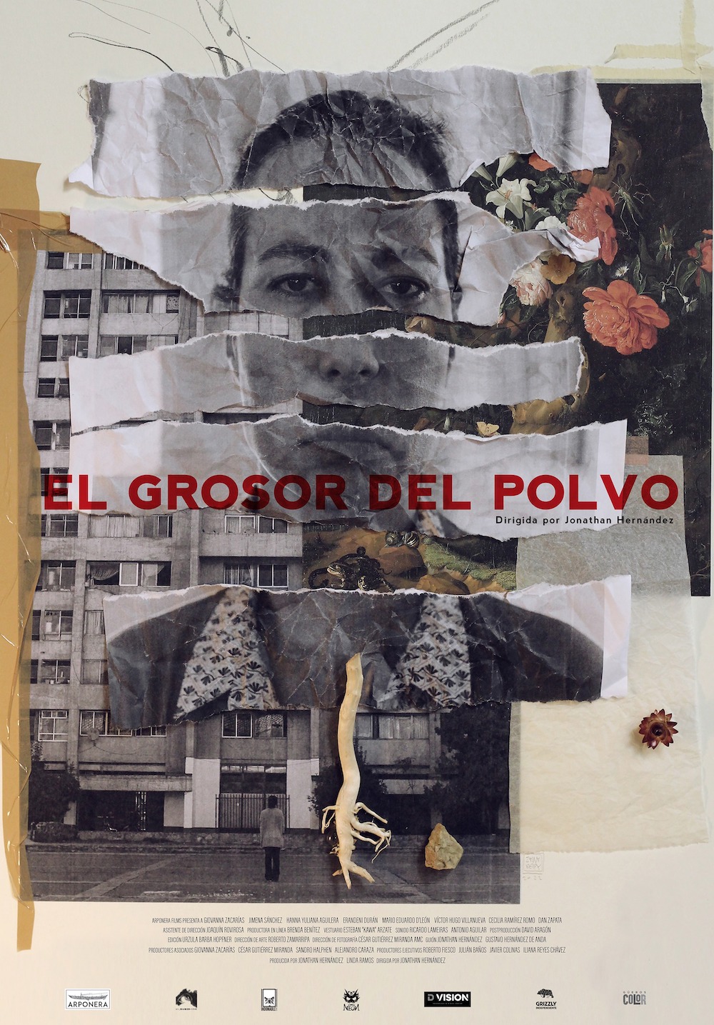 grosor polvo cartel