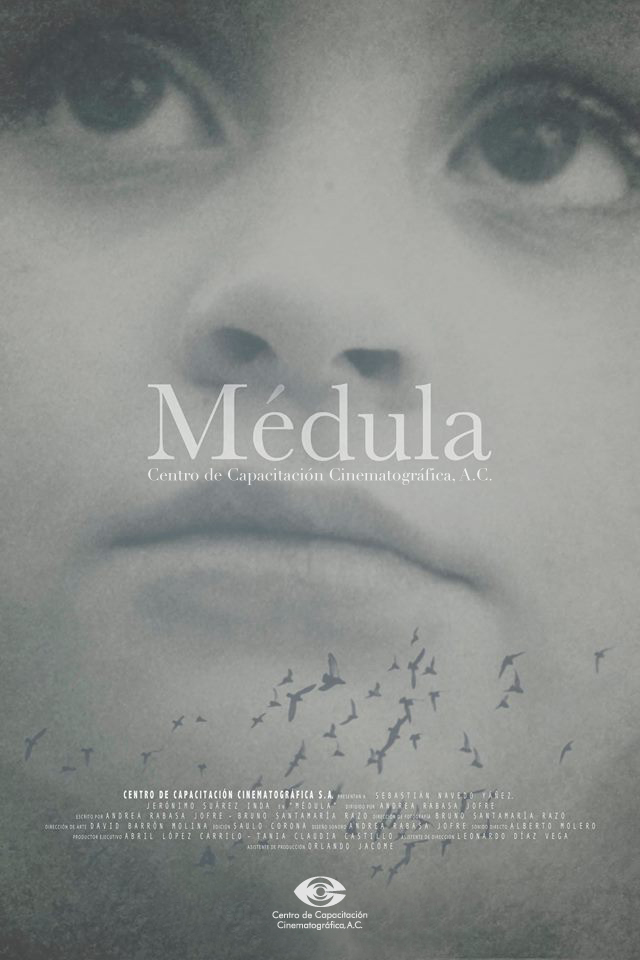 medula-poster-low-ccc